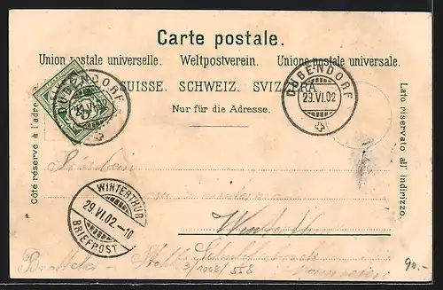 Lithographie Dübendorf, Wirtschaft zur Waldmannsburg Dübelstein, Portrait von Hans Waldmann