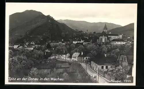 Foto-AK Spitz an der Donau, Gesamtansicht in der Wachau