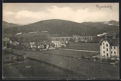 AK Payerbach, Gesamtansicht mit Blick zur Brücke