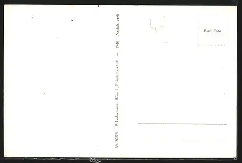 AK Prigglitz bei Gloggnitz, Generalansicht