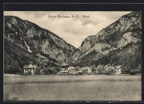 AK Reichenau in N.-Oe., Blick zum Talhof
