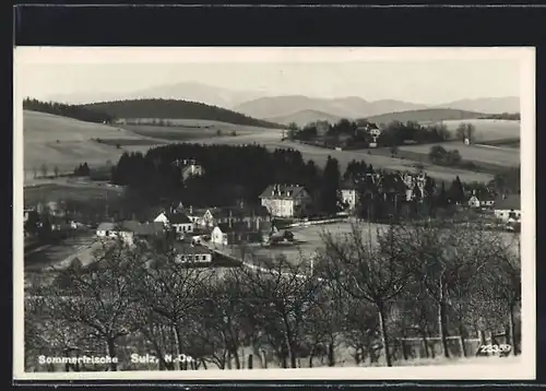 AK Sulz in N.-Oe., Blick auf die Siedlung
