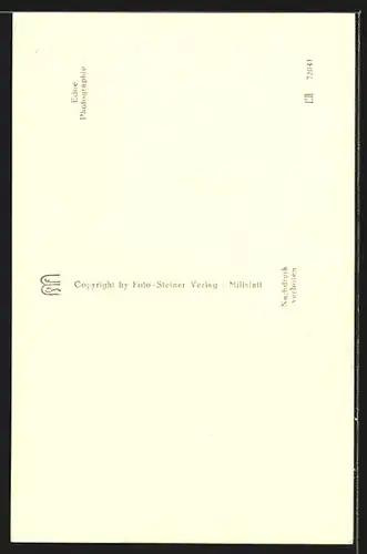 AK Millstatt in Kärnten, an der Schlossvilla