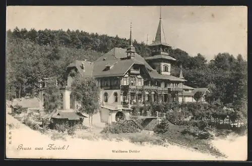 AK Zürich, das Waldhaus Dolder