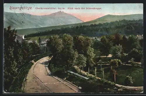 AK Oberkrummhübel im Riesengebirge, Blick nach der Schneekoppe