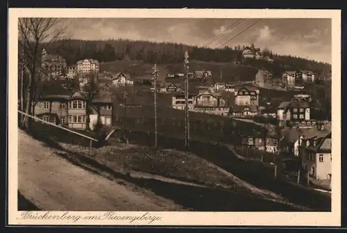 AK Brückenberg, Panoramablick vom Berg
