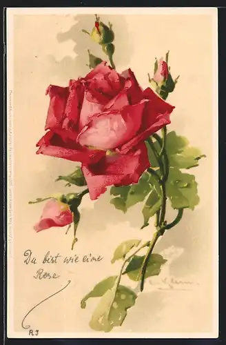 Künstler-AK Catharina Klein: Rote Rose mit Knospen