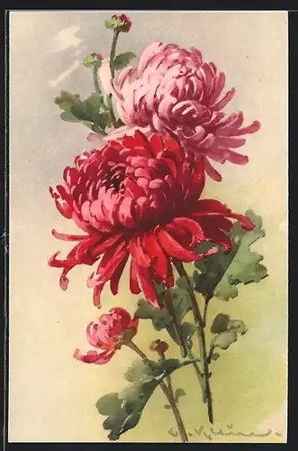 Künstler-AK Catharina Klein: Rote und Rosafarbene Blume in voller Pracht