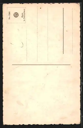 Künstler-AK Catharina Klein: Ein Papagei sitzt auf einem Ast