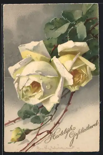 Künstler-AK Catharina Klein: Zwei blühende Rosen