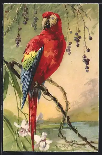 AK Papagei auf einem Ast in Seelandschaft