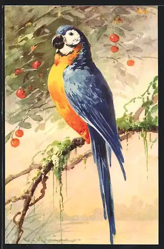 Künstler-AK Catharina Klein: Papagei sitzt auf einem Ast