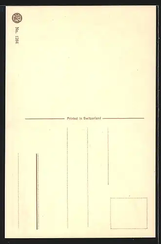 Künstler-AK Catharina Klein: Papagei sitzt auf einem Ast