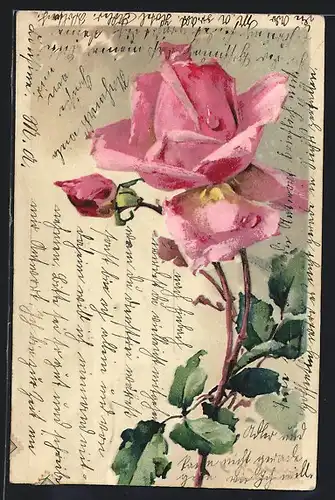 Künstler-AK Catharina Klein: Rosenzweig