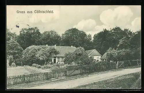 AK Springe, Forsthaus Cöllnischfeld von dem Weg aus gesehen