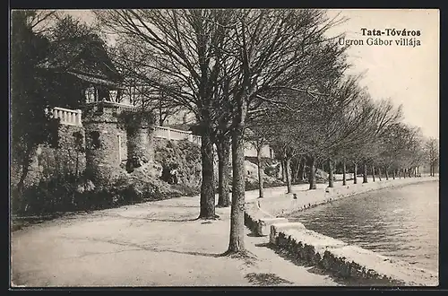AK Tata-Tóváros, Ugron Gábor villája