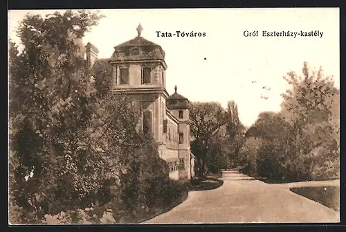 AK Tata-Tóváros, Gróf Eszterházy-kastély