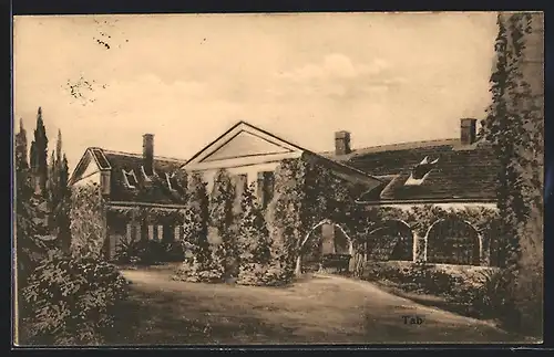 Künstler-AK Tab, Blick auf zugewachsenes Gebäude