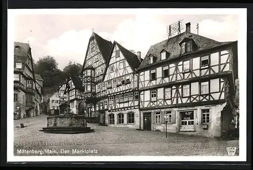 AK Miltenberg am Main, Brunnen auf dem marktplatz