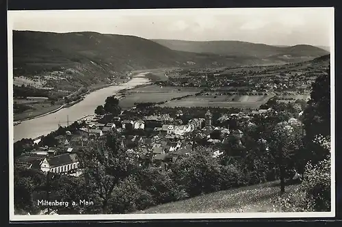 AK Miltenberg am Main, Totalansicht