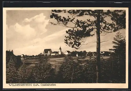 AK Wildenstein o. A. Crailsheim, Ortsansicht mit Kirche vom Wald aus