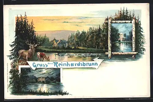 Lithographie Reinhardsbrunn, Abendliche Idylle am Seeufer mit Wald und Wildgruppe