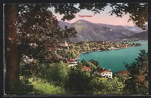 AK Tegernsee, Panorama mit Bäumen