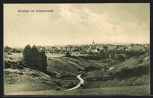 AK Dornhan im Schwarzwald, Teilansicht