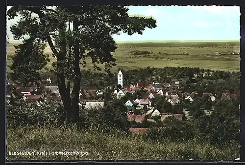 AK Bergfelden /Kreis Horb, Teilansicht mit Baum