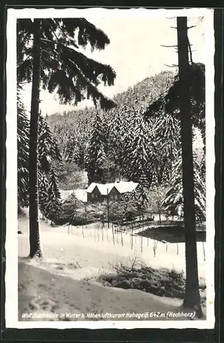 AK Hohegeiss / Hochharz, Verschneite Wolfsbachmühle i. Winter
