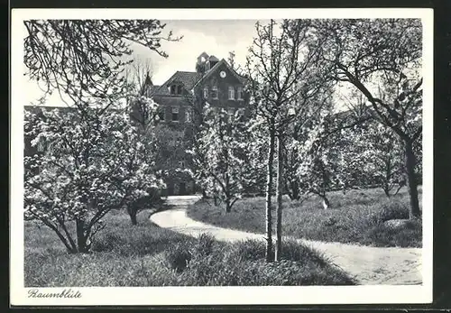 AK M.-Gladbach-Land, St. Franziskusheilstätte Windberg, Baumblüte