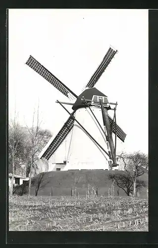AK Lieshout, Partie an einer Windmühle Vogelenzang