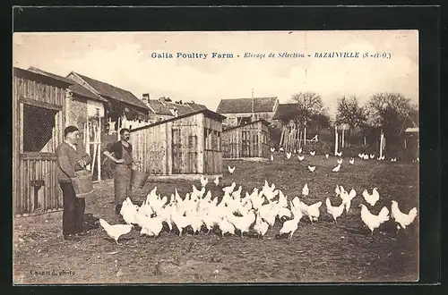 AK Bazainville, Galia Poultry Farm Elevage de Sélection