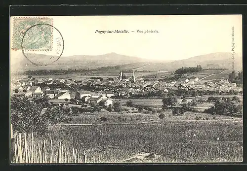 AK Pagny-sur-Moselle, Vue générale, Totalansicht des Ortes