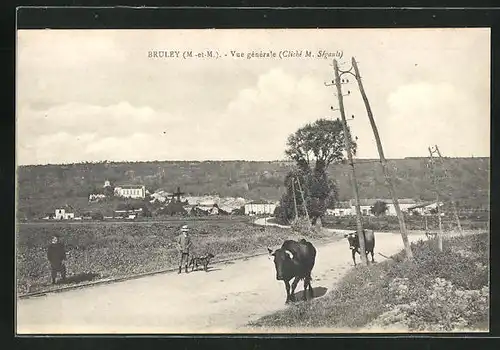 AK Bruley, Vue générale, Strassenpartie vor dem Ort