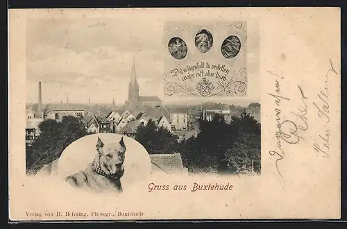 AK Buxtehude, Teilansicht mit Kirche, Hund