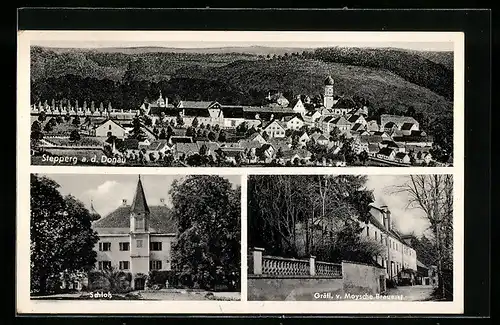 AK Stepperg a. d. Donau, Gräfl. v. Moysche Brauerei, Schloss, Teilansicht