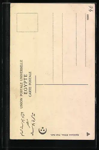 AK Suez, Palmier à la Fontaine de Moise