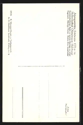 AK Hollersbach, Alpengaststätte Edelweiss