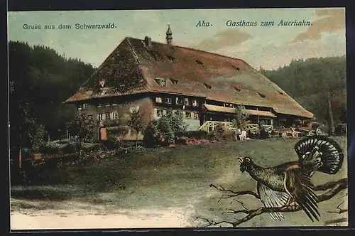 AK Aha, Gasthaus zum Auerhahn