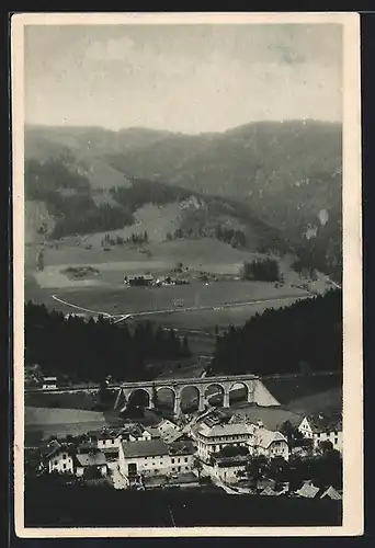 AK Steinhaus am Semmering, Ortsansicht mit Umgebung aus der Vogelschau