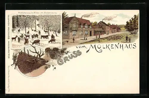 Lithographie Bad Harzburg / Harz, Gasthaus Molkenhaus, Wildfütterung im Winter