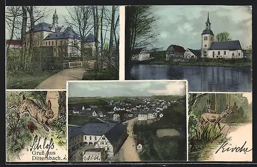 AK Dittersbach, Teilansicht, Kirche, Gebäudeansicht