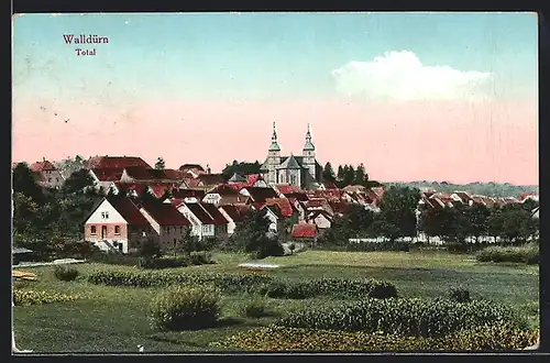 AK Walldürn, Totalansicht mit Feldern