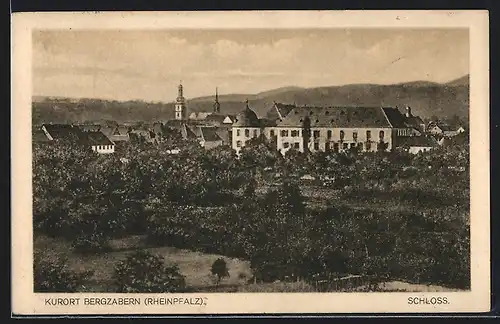 AK Bergzabern /Rheinpf., Schloss und Ort aus der Vogelschau