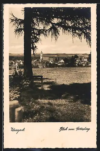 AK Wurzach, Blick vom Gottesberg auf den Ort