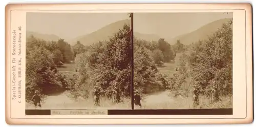 Stereo-Fotografie Clemenz Kaufmann, Berlin, Ansicht Ilsenburg, Partiue im Ilsethal