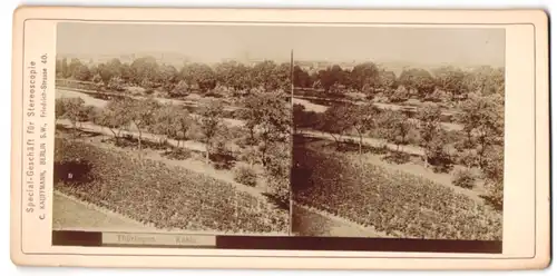 Stereo-Fotografie Clemenz Kauffmann, Berlin, Ansicht Kahla, Blick zum Ort