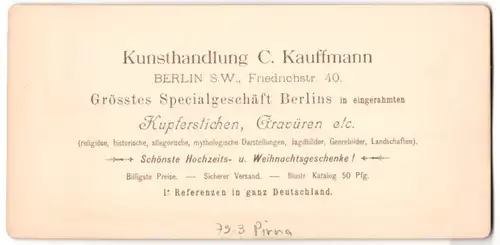 Stereo-Fotografie C. Kauffmann, Berlin, Ansicht Pirna, Elbe