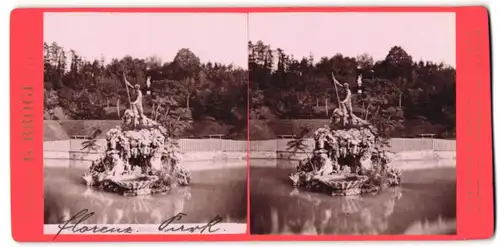 Stereo-Fotografie G. Brogi, Firenze, Ansicht Florenz, Park